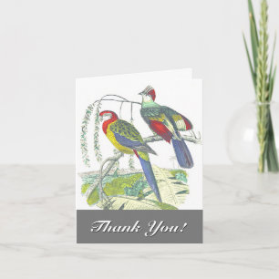 Tarjeta 2 pájaros posados en una rama, "¡Gracias!"