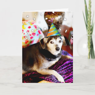 Tarjeta 311 Felicidades por tu jubilación!