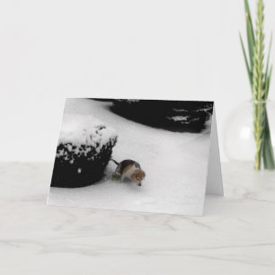 Tarjeta 311-Graduación