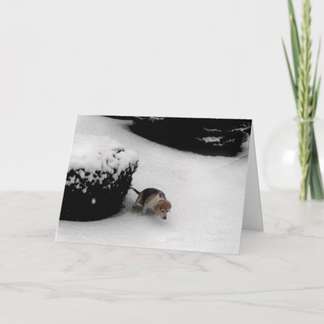 Tarjeta 311-Graduación (Anverso)