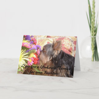 Tarjeta 314855-7661677, te conseguí un Yorkshire Terrier f