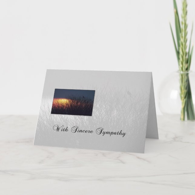 Tarjeta 3628 Pájaro de árboles simpáticos (Anverso)