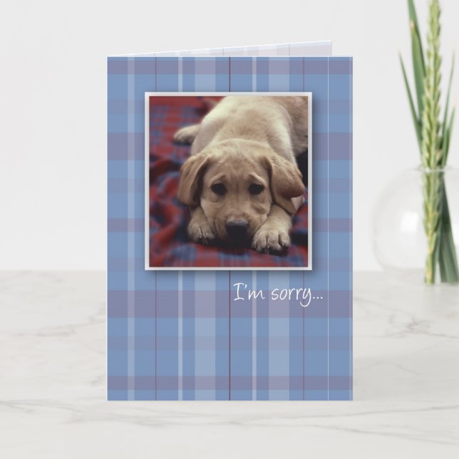 Tarjeta 3756 soy perrito triste (Anverso)