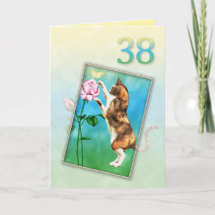 Tarjeta 38.º cumpleaños con un gato juguetón