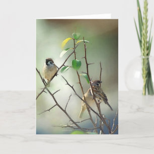 Tarjeta 3.ª Aves