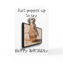 3.ᵉʳ Meerkat | Sólo salimos a decir... Cualquier o