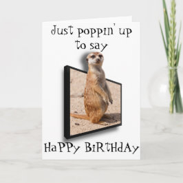 Tarjeta 3.ᵉʳ Meerkat | Sólo salimos a decir... Cualquier o