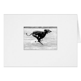 Tarjeta 3 de Azawakh de David Moore