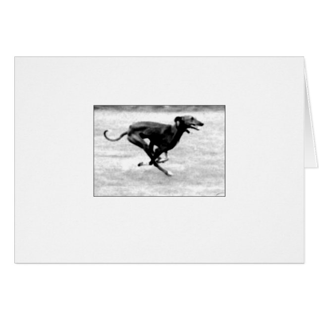 Tarjeta 3 de Azawakh de David Moore (Anverso (Horizontal))