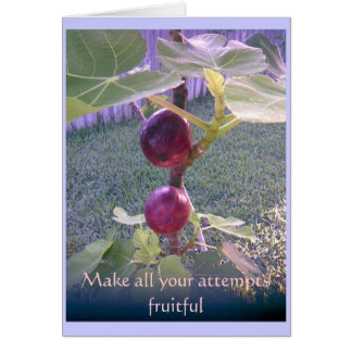 Tarjeta 3 de la foto