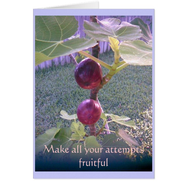 Tarjeta 3 de la foto (Frente)