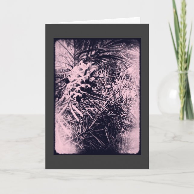 Tarjeta 3 del árbol de hoja perenne 6 (Anverso)