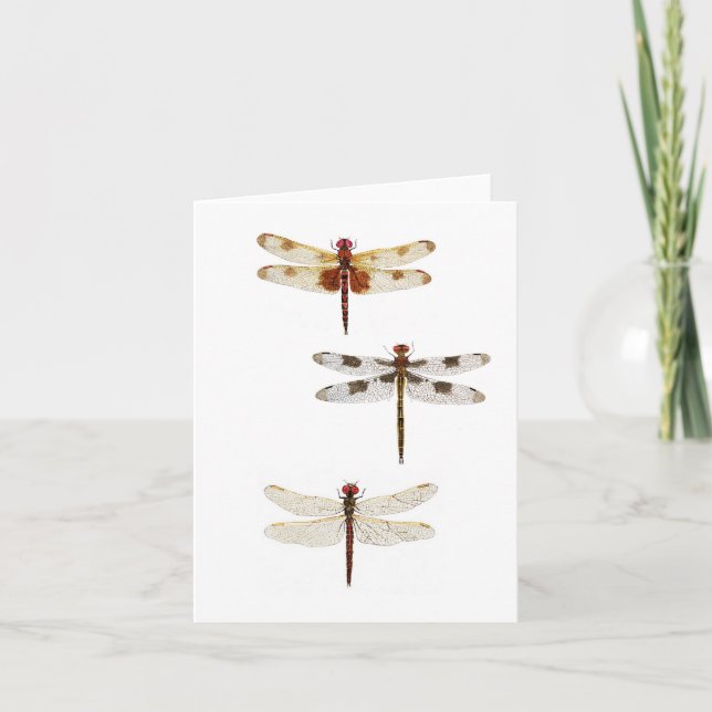 Tarjeta 3 Dragonflies (Anverso)