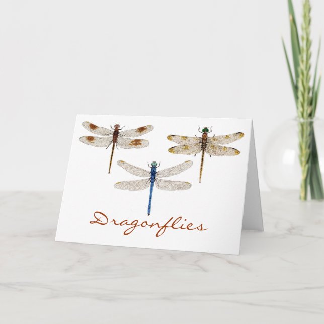 Tarjeta 3 Dragonflies (Anverso)