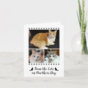 Tarjeta 3 guión gráfico del día del padre del Mascota de p