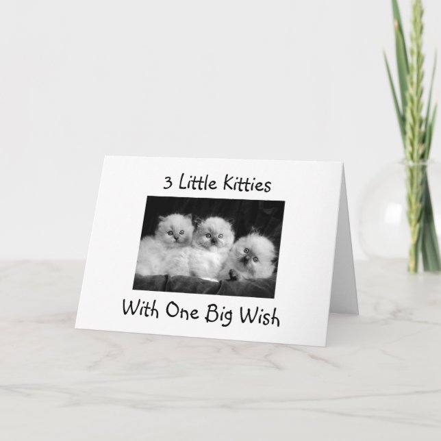 TARJETA 3 KITTIES CON UN GRAN CUMPLEAÑOS DE DESEO-FELIZ (Anverso)
