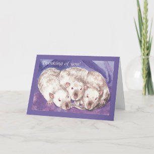 Tarjeta 3 Pensamiento de Himis sobre ti