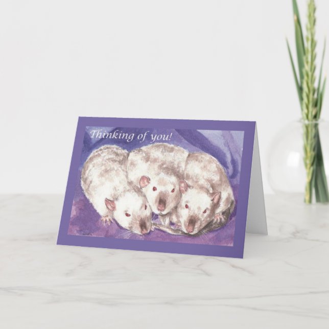 Tarjeta 3 Pensamiento de Himis sobre ti (Anverso)