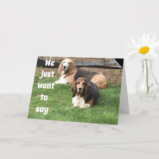 TARJETA **40º CUMPLEAÑOS** DE PERROS COMPLIMENTARIOS (Planta pequeña)