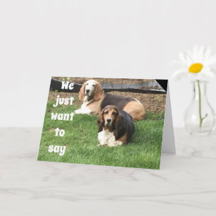 TARJETA **40º CUMPLEAÑOS** DE PERROS COMPLIMENTARIOS