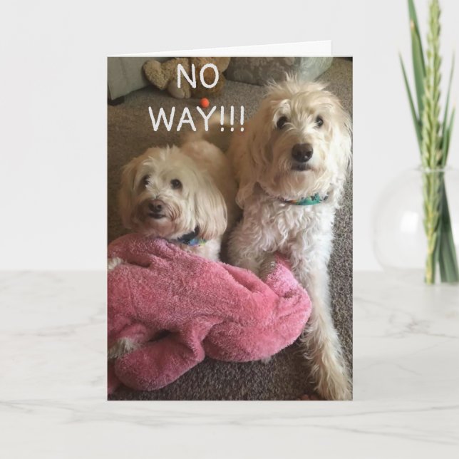 TARJETA **40º CUMPLEAÑOS** DESEOS DE ALGUNA CARTA DE PUPS  (Anverso)