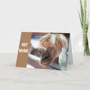 TARJETA **40º CUMPLEAÑOS** ¡TIENEN TIEMPO DIFÍCIL DE CREER