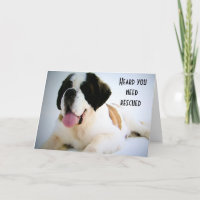 40.º CUMPLEAÑOS RESCATE PERRO