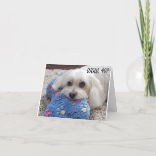 TARJETA *40 CUMPLEAÑOS* HA HA (HUMOR DE PERRO DIVERTIDO)