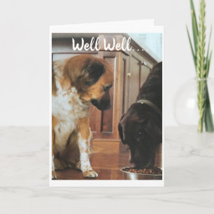 TARJETA *40 CUMPLEAÑOS* HUMOR DE LOS PERROS!