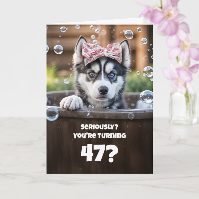 Tarjeta 47th Birthday Cute and Funny Husky Dog in Tub (Orquídea)