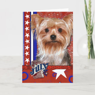 Tarjeta 4 de julio, Firecracker - Yorkshire Terrier