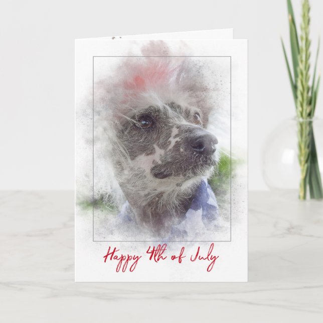 Tarjeta 4 de julio - Perro chino con cabellera en la cama (Anverso)