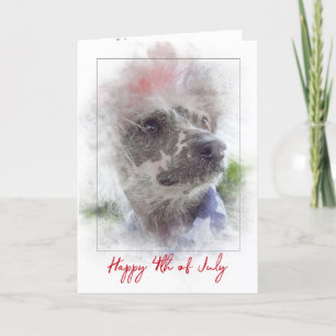 Tarjeta 4 de julio - Perro chino con cabellera en la cama