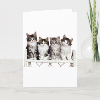 Tarjeta 4 gatitos en un banco