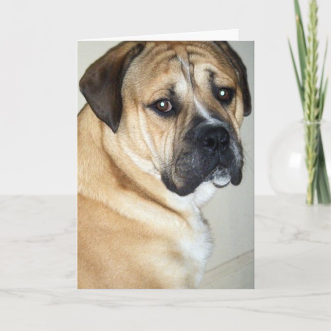 TARJETA 50.º PERO TODAVÍA EL PERRO SUPERIOR (Anverso)