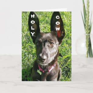 Tarjeta "50 BIRTHDAY HUMOR DE BIG EARED PUP"