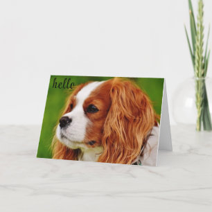 TARJETA **50** CÓMO SE SIENTE EL HUMOR DE CUMPLEAÑOS