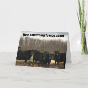 TARJETA **50** CUMPLEAÑOS ES ALGO DE LO QUE SE DEBE "MOO"