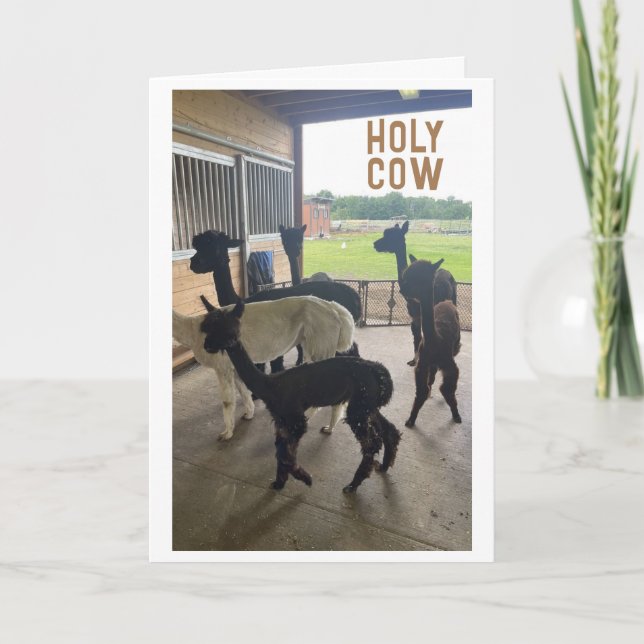 Tarjeta ¿¿¿50° CUMPLEAÑOS?? SÓLO NO PUEDE CREER QUE LA Tar (Anverso)