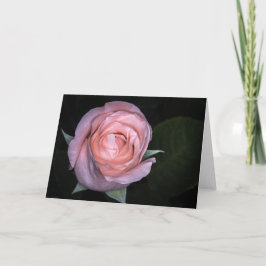 Tarjeta 5434-Rosa Melocotón