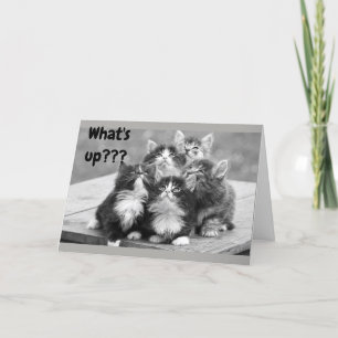 Tarjeta *55.º CUMPLEAÑOS DESEA* ¿QUÉ PASA? ¡TU EDAD! Tarje