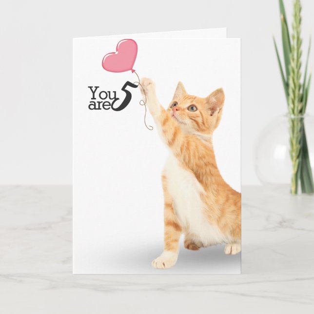 Tarjeta 5.º gato de tabby de cumpleaños (Anverso)