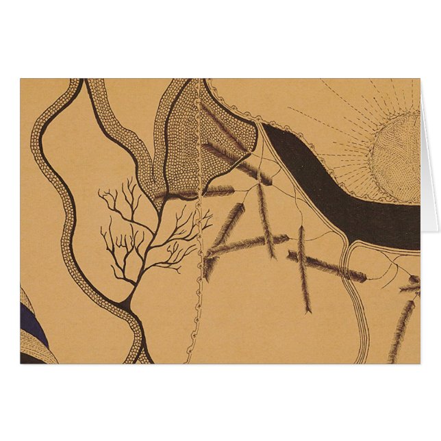 Tarjeta 5 de Juan Haughton (Anverso (Horizontal))