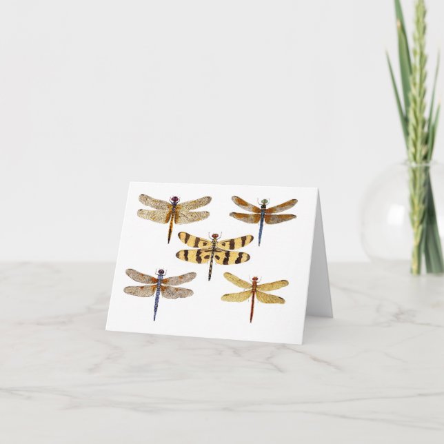 Tarjeta 5 Dragonflies (Anverso)
