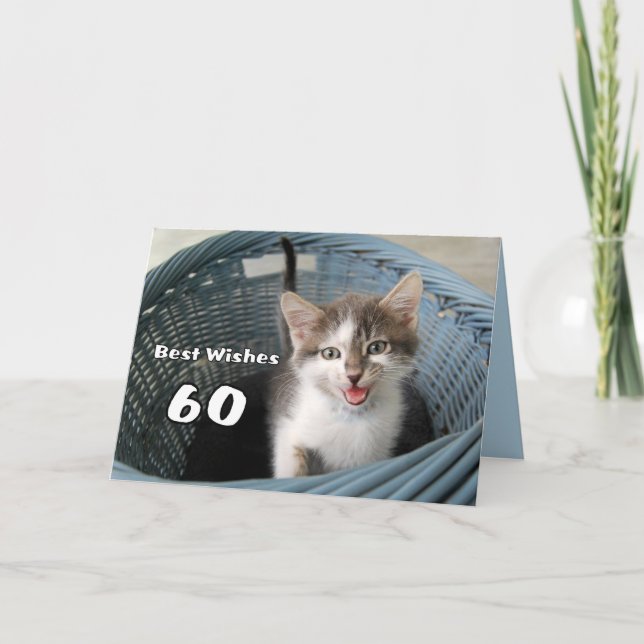 Tarjeta 60.º cumpleaños Crazy Kitten (Anverso)