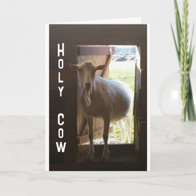 Tarjeta ¿¿¿60° CUMPLEAÑOS?? SÓLO NO PUEDE CREER QUE LA Tar (Anverso)