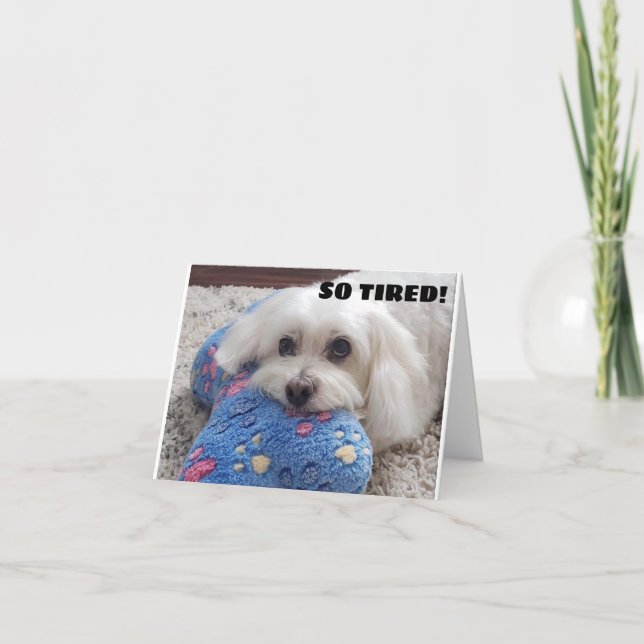 TARJETA *70 CUMPLEAÑOS* HA HA (HUMOR DE PERRO DIVERTIDO) (Anverso)