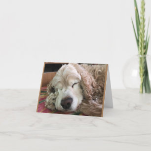 TARJETA *70 CUMPLEAÑOS* HA HA (HUMOR DE PERRO DIVERTIDO)