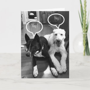 TARJETA **70** HUMOR DE CUMPLEAÑOS DE UN PAR DE PUPS