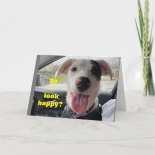 Tarjeta **75º CUMPLEAÑOS*** FELIZ ES "USTED" ¡NO YO! Tarje